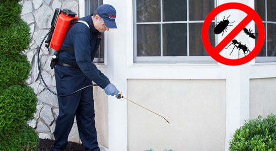 Atakum Böcek ve Haşere İlaçlama böcek ilaçlama ve haşere kontrolü — ilaclama-tr.com